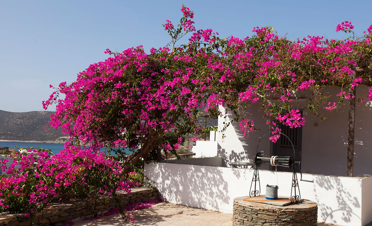 Αυλή με παραδοσιακό πηγάδι και βουκαμβίλιες στα Ostria Studios με θέα θάλασσα