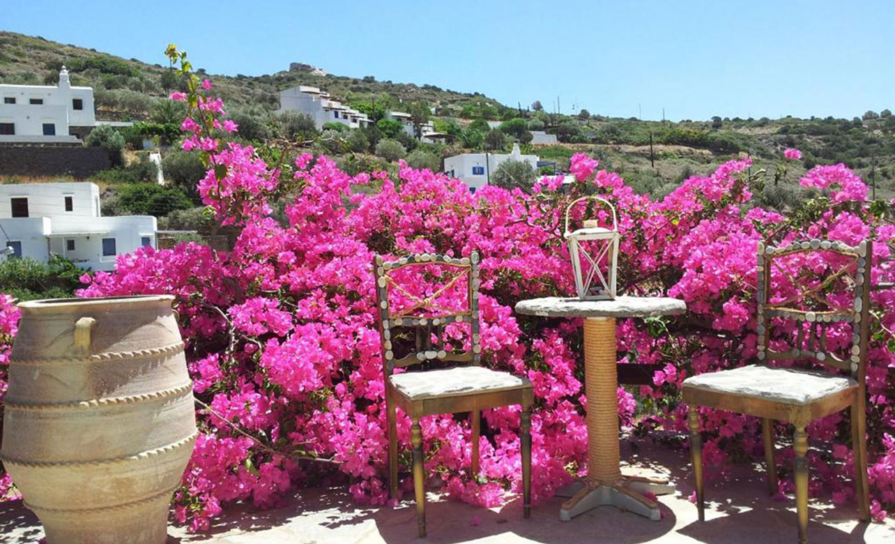 Καθιστικό εξωτερικού χώρου με βουκαμβίλιες στα Ostria Studios στον Πλατύ Γιαλό Σίφνου